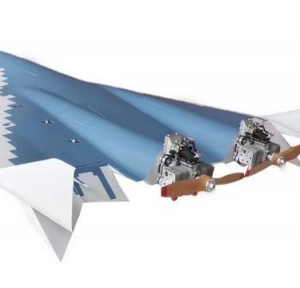 W-2900 Twin-Engine Delta-Wing UAV